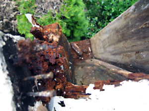 exterior dry rot repair Portland, OR. exterior dry rot repair Portland, OR. 503-885-0236