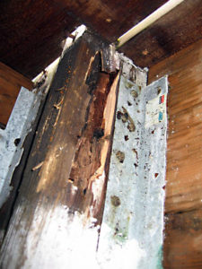 Deck dry rot repair in Portland, OR. Deck dry rot repair in Portland, OR.