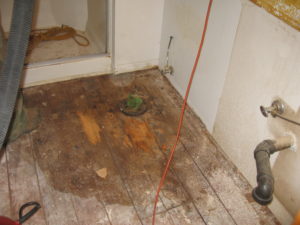 Dry Rot Bathroom Dry Rot Bathroom