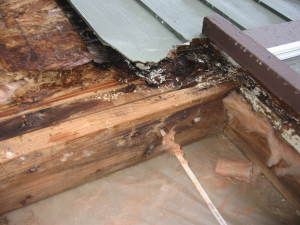 Leaking Window - Recently Built Home