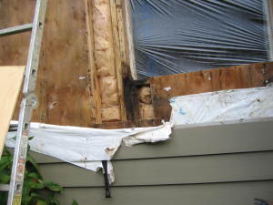 Leaking Windows Discovered by SFW
