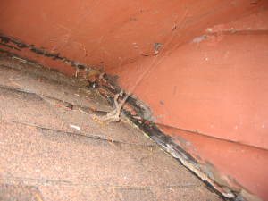 Defective Siding