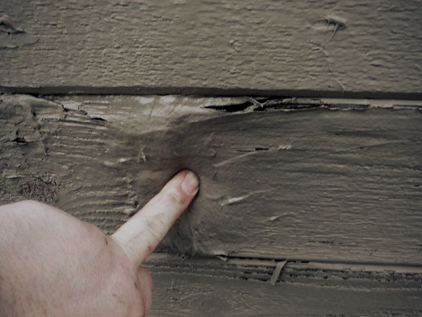 wood floor boards shrinking  | 736 x 940